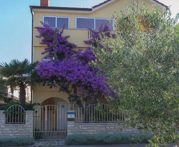 Spacious Malina With Pool - By Ta Leut Agency * Privlaka (Zadar)